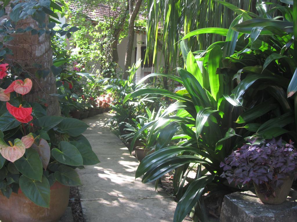 Peacock Land Hotell Tangalle Exteriör bild