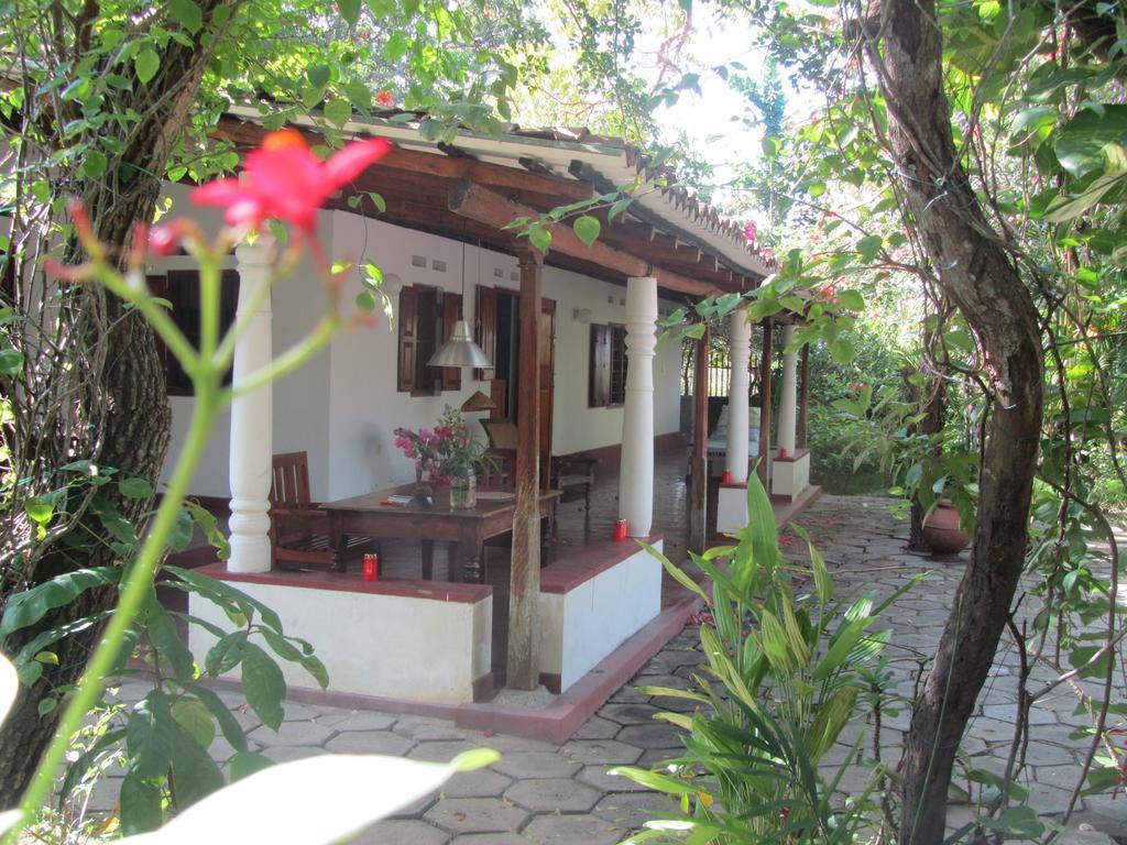 Peacock Land Hotell Tangalle Rum bild