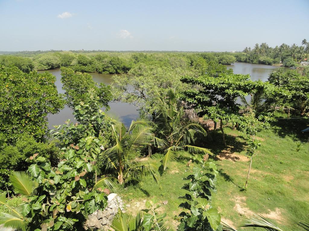 Peacock Land Hotell Tangalle Exteriör bild