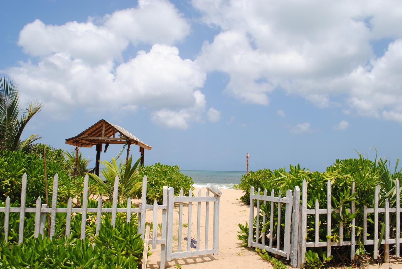 Peacock Land Hotell Tangalle Exteriör bild