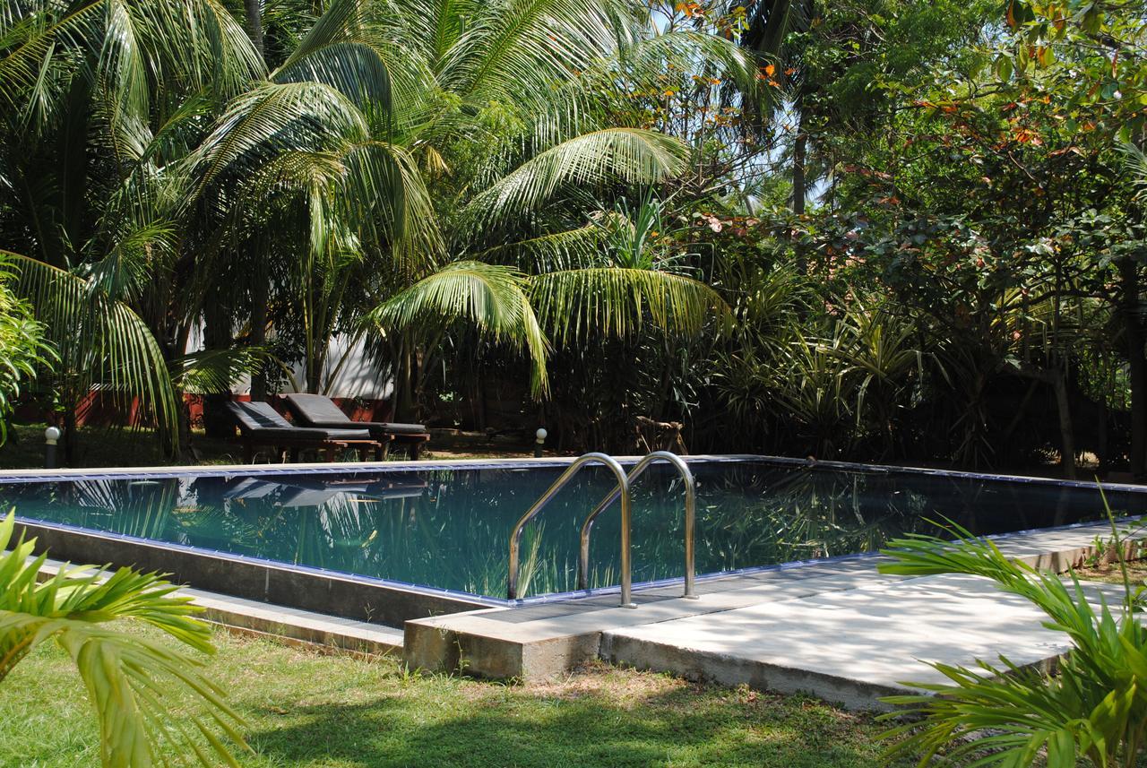 Peacock Land Hotell Tangalle Exteriör bild