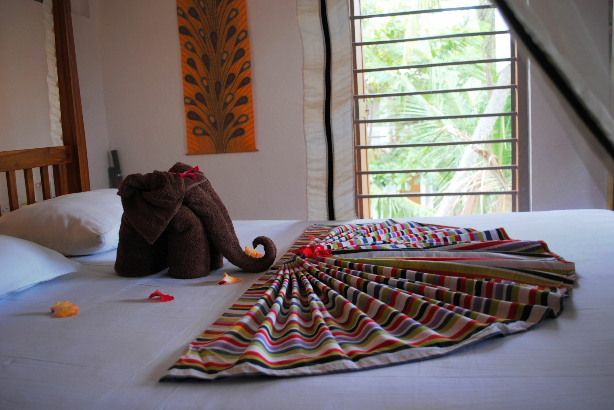Peacock Land Hotell Tangalle Exteriör bild