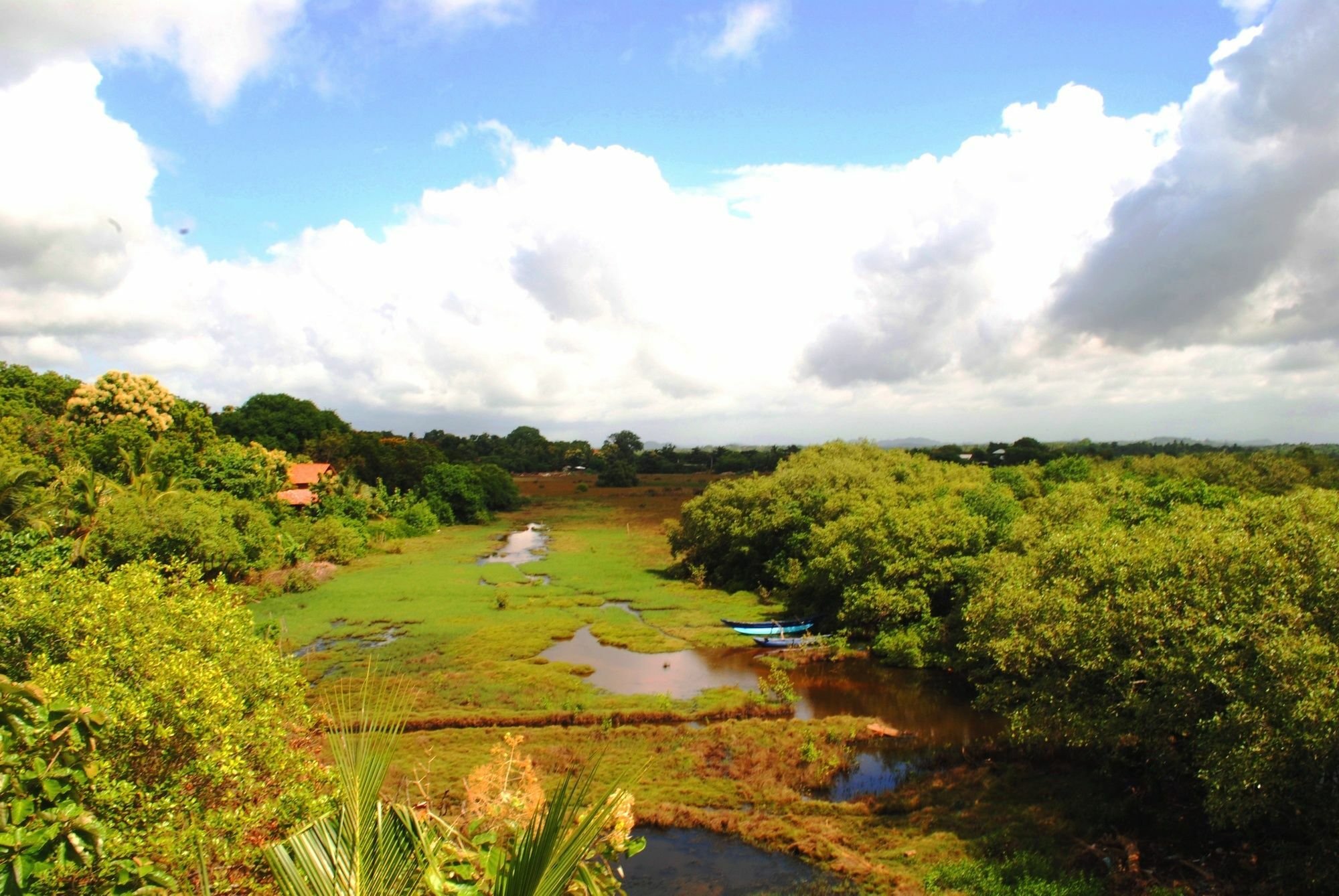 Peacock Land Hotell Tangalle Exteriör bild